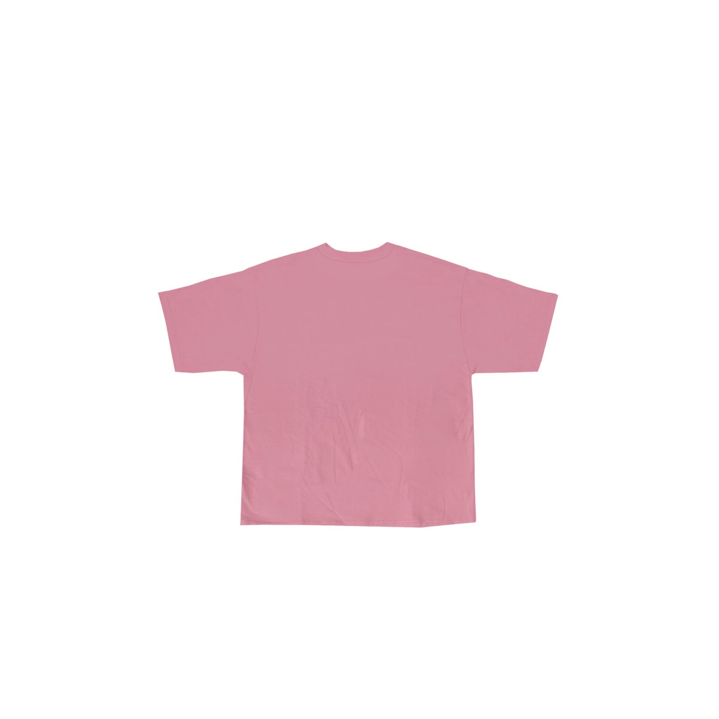 Oval Give God Praise Pink T - Shirt - GiveGodPraiseClothing